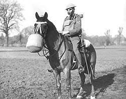 French ww1 cavalry